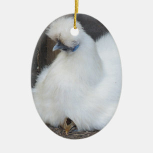 Cute Fluffy White Chicken and Chick ornament