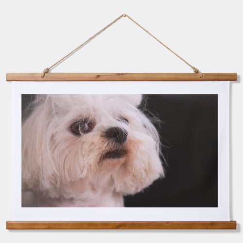 Cute Fluffy White Dog Portrait | Adorable Puppy Lo Hanging Tapestry