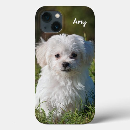 Cute Fluffy White Maltese Puppy Dog Case_Mate iPho iPhone 13 Case