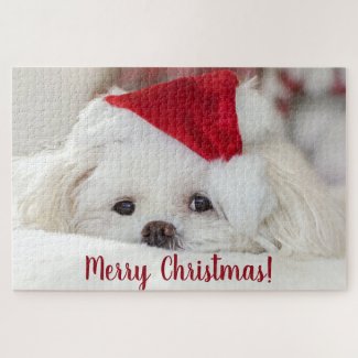Cute Fluffy White Maltese Puppy Dog in a Santa Hat