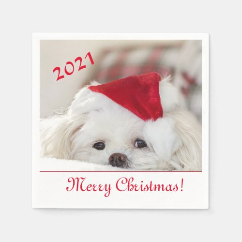 Cute Fluffy White Maltese Puppy Dog in a Santa Hat Napkins