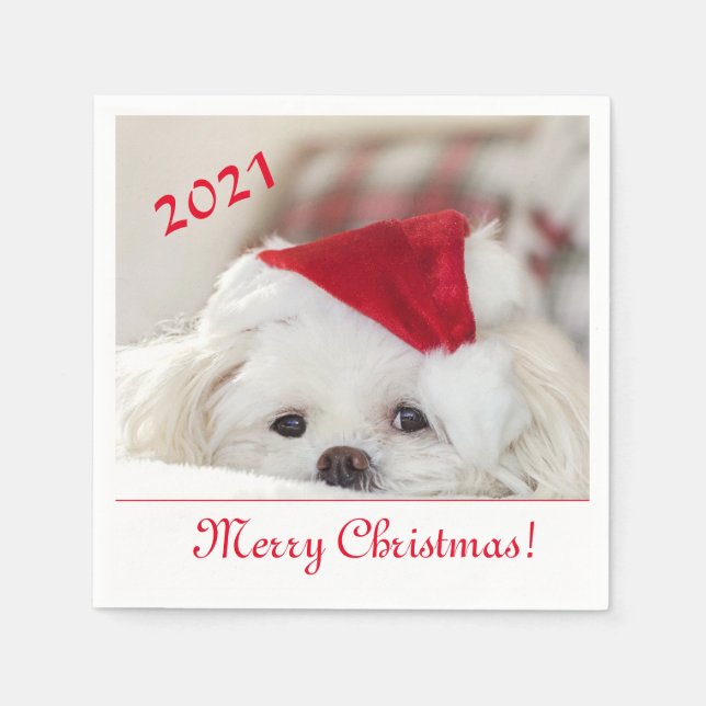 Cute Fluffy White Maltese Puppy Dog in a Santa Hat Napkins (Front)