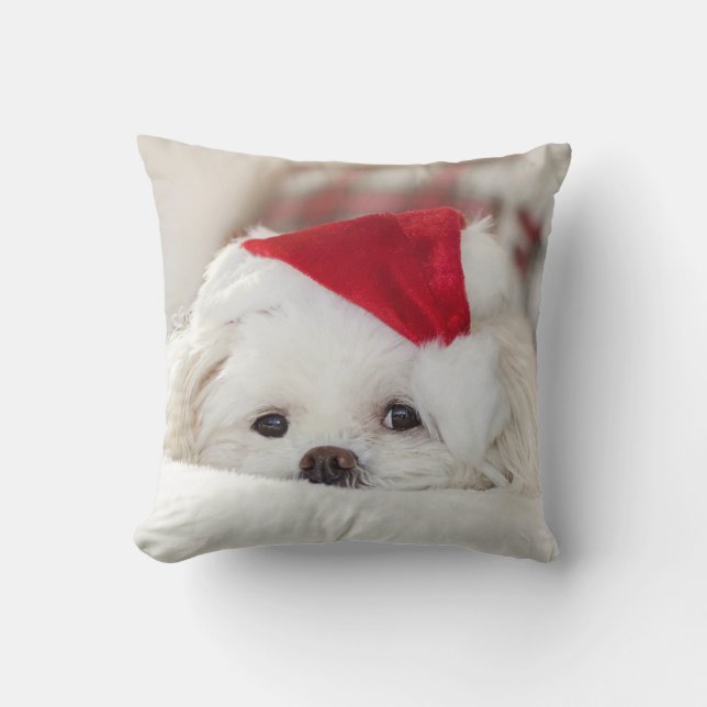 Cute Fluffy White Maltese Puppy Dog in a Santa Hat Throw Pillow (Front)