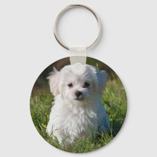 Cute Fluffy White Maltese Puppy Dog Keychain