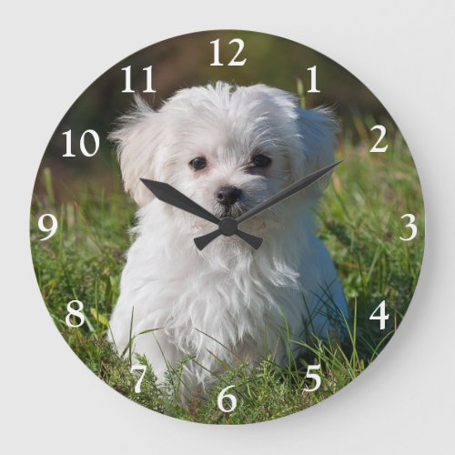 Cute Fluffy White Maltese Puppy Dog Large Clock