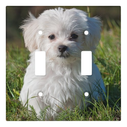 Cute Fluffy White Maltese Puppy Dog Light Switch Cover