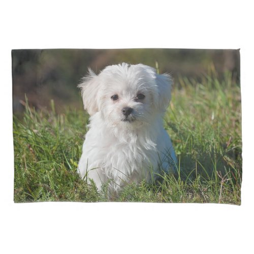 Cute Fluffy White Maltese Puppy Dog Pillow Case