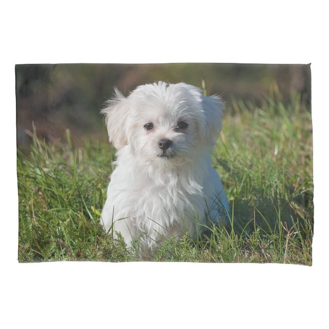 Cute Fluffy White Maltese Puppy Dog Pillow Case (Front)