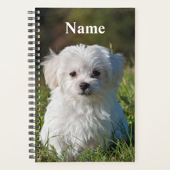 Cute Fluffy White Maltese Puppy Dog Planner (Front)