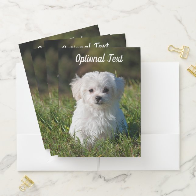 Cute Fluffy White Maltese Puppy Dog Pocket Folder (In Situ)