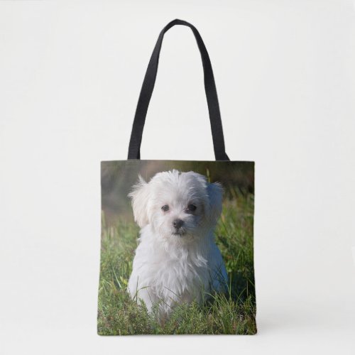 Cute Fluffy White Maltese Puppy Dog Tote Bag