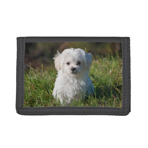 Cute Fluffy White Maltese Puppy Dog Trifold Wallet