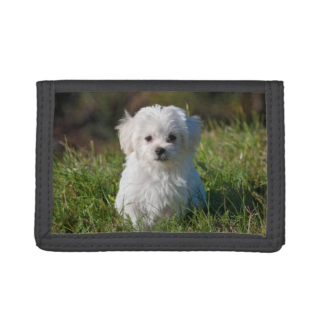 Cute Fluffy White Maltese Puppy Dog Trifold Wallet (Front)