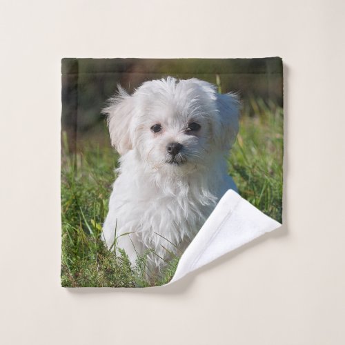 Cute Fluffy White Maltese Puppy Dog Wash Cloth