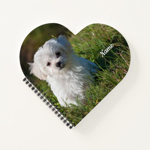 Cute Fluffy White Maltese Puppy  Notebook