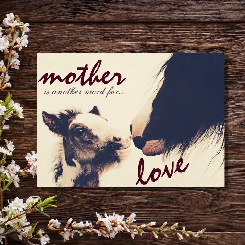Cute Foal and Mare Horse Happy Mothers Day Card