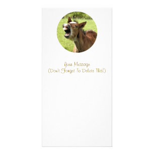 CUTE FOAL CARD