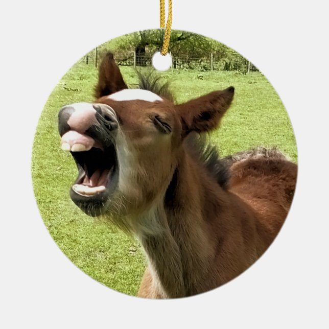 CUTE FOAL CERAMIC ORNAMENT (Front)