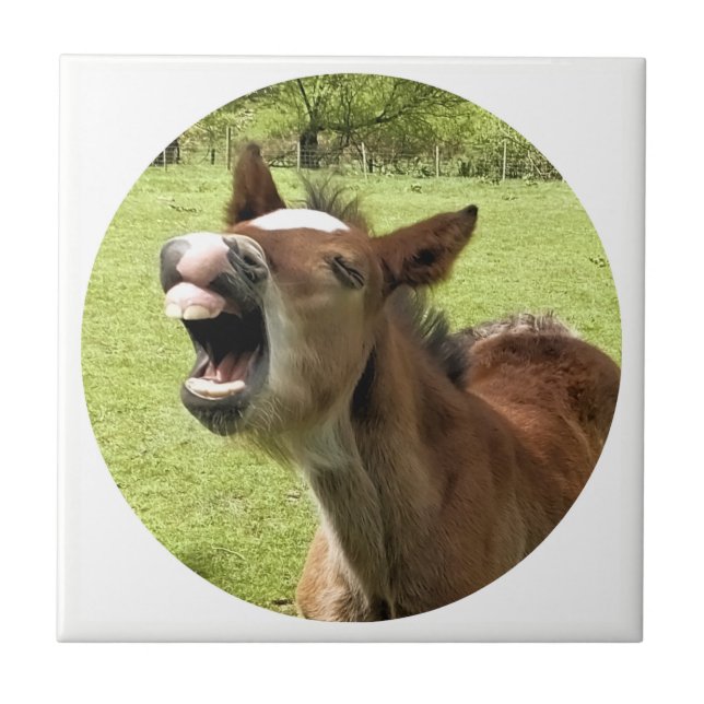CUTE FOAL CERAMIC TILE (Front)