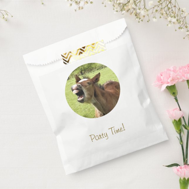 CUTE FOAL FAVOR BAG (Sealed)
