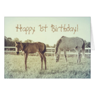 Cute Foal Horse Animals Custom Birthday Card