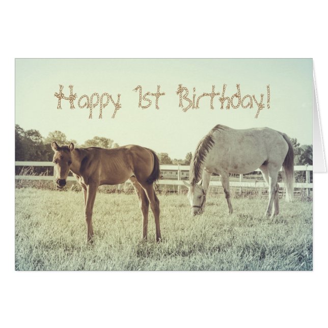 Cute Foal Horse Animals Custom Birthday Card (Front Horizontal)