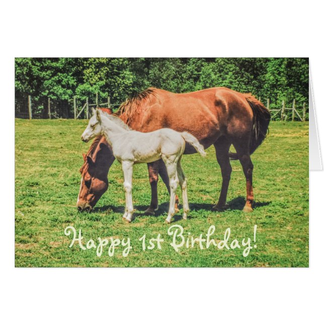 Cute Foal Horse Animals Custom Happy 1st Birthday (Front Horizontal)