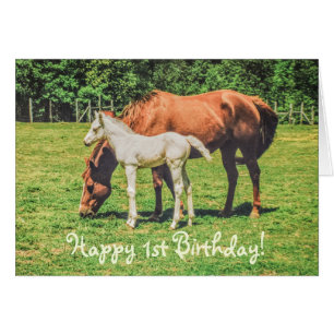 Cute Foal Horse Animals Custom Happy 1st Birthday Cards