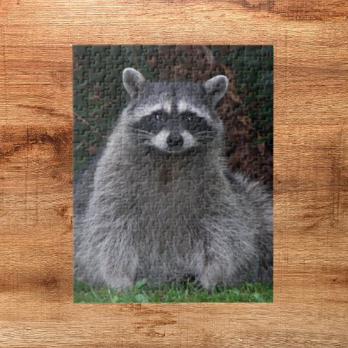 Cute Forest Raccoon Nature Jigsaw Puzzle