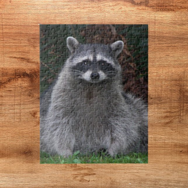 Cute Forest Raccoon Nature Jigsaw Puzzle (In Situ)