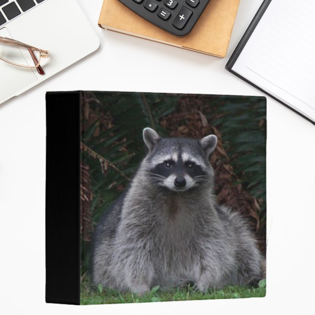 Cute Forest Raccoon Wildlife Photo 3 Ring Binder (In Situ Angled)