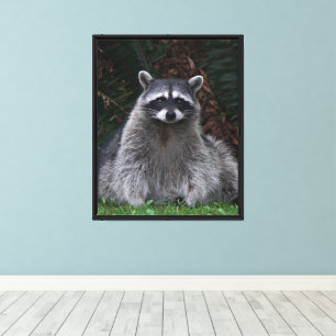 Cute Forest Raccoon Wildlife Photo Canvas Print