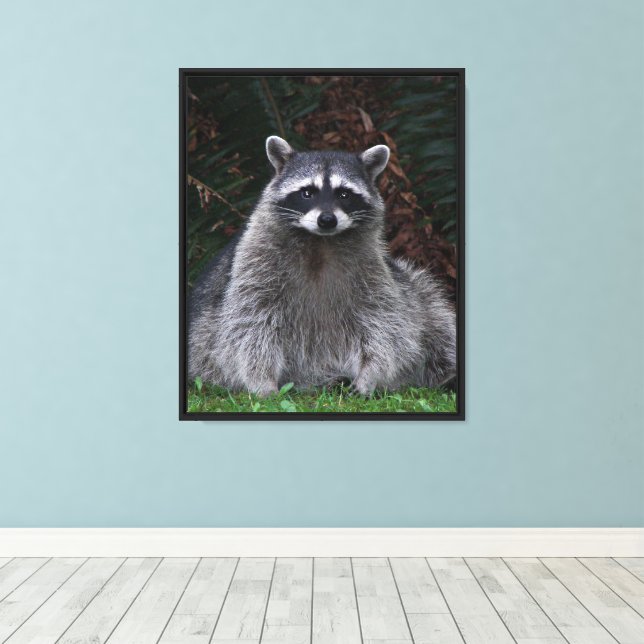 Cute Forest Raccoon Wildlife Photo Canvas Print (Insitu(Wood Floor))
