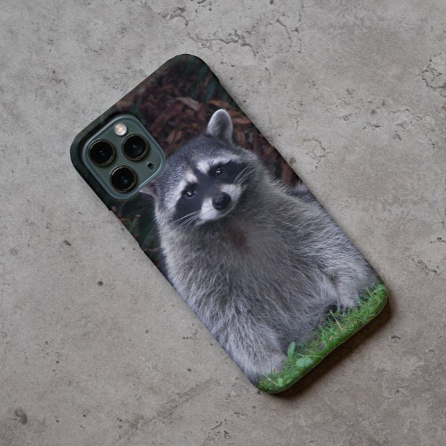 Cute Forest Raccoon Wildlife Photo Case-Mate iPhone Case (In Situ)