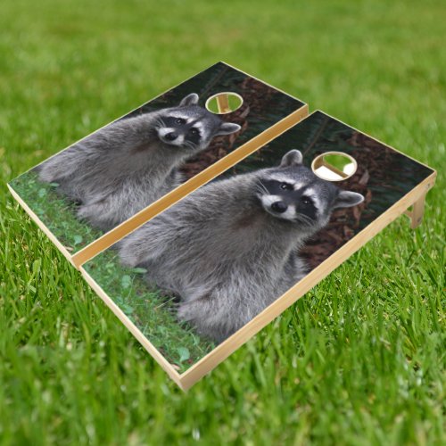 Cute Forest Raccoon Wildlife Photo Cornhole Set