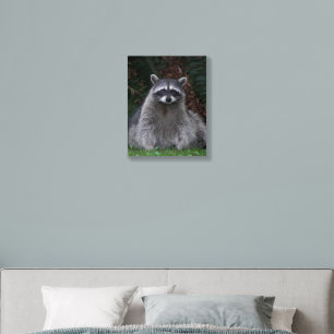 Cute Forest Raccoon Wildlife Photo Foam Core Photo Tile
