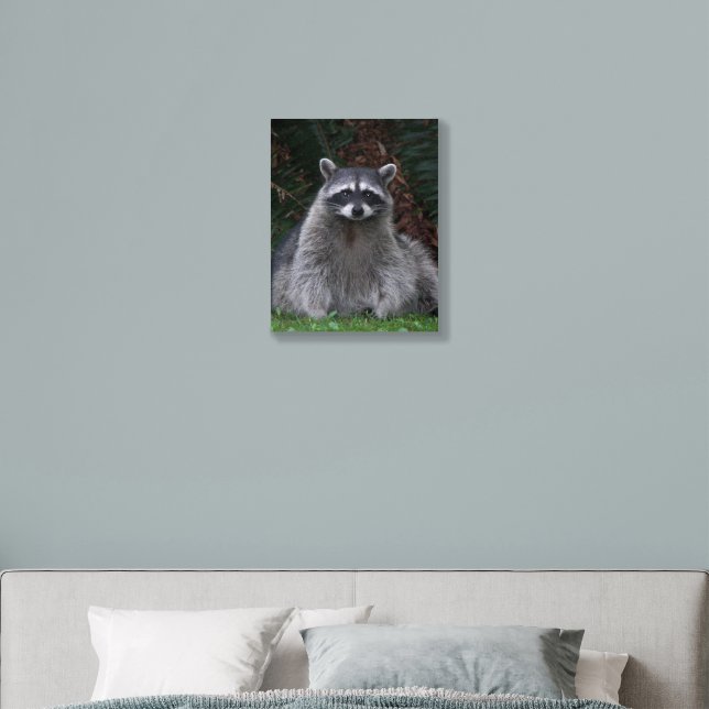 Cute Forest Raccoon Wildlife Photo Foam Core Photo Tile (Bedroom)