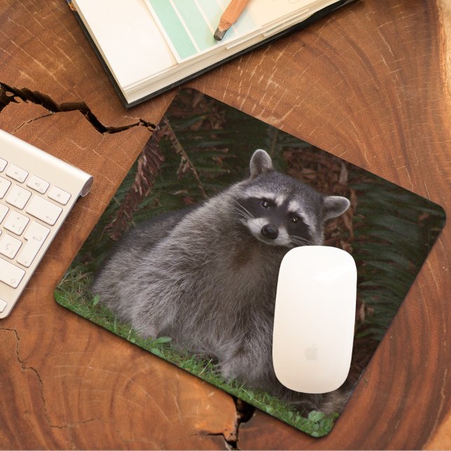 Cute Forest Raccoon Wildlife Photo Mouse Pad (In Situ)