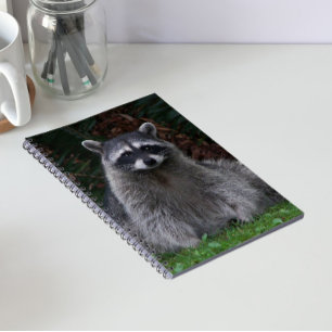 Cute Forest Raccoon Wildlife Photo Notebook