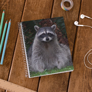 Cute Forest Raccoon Wildlife Photo Notebook