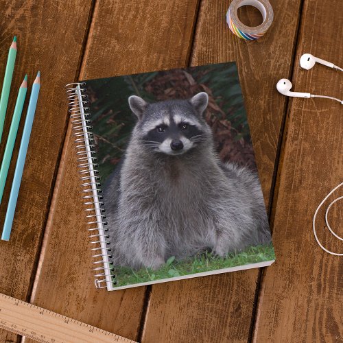 Cute Forest Raccoon Wildlife Photo Notebook