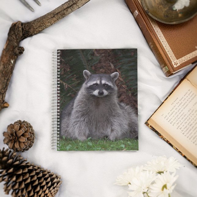 Cute Forest Raccoon Wildlife Photo Notebook (In Situ)