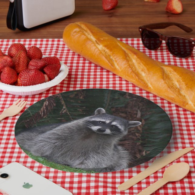 Cute Forest Raccoon Wildlife Photo Paper Plates (Picnic)