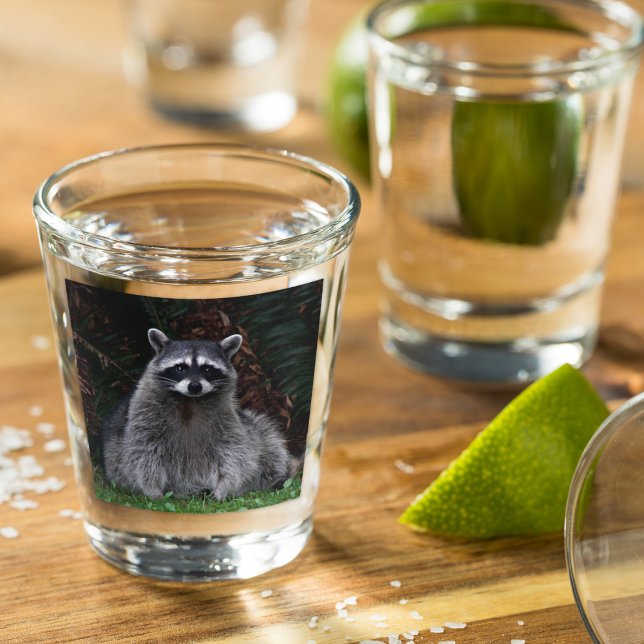 Cute Forest Raccoon Wildlife Photo Shot Glass (In Situ)