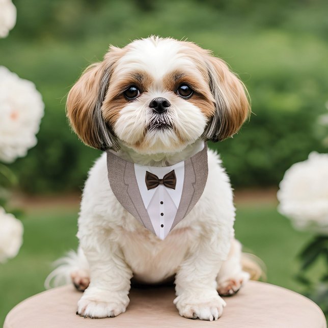 Cute Formal Beige White Tuxedo Bowtie Pet Wedding Pet Bandana Collar (Cute Formal Beige White Tuxedo Bowtie Pet Wedding Pet Bandana Collar)