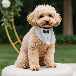 Cute Formal Cream White Tuxedo Bowtie Pet Wedding Pet Bandana Collar