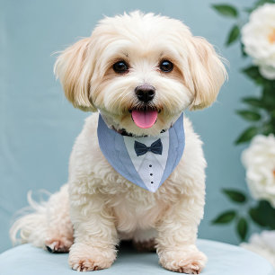 Cute Formal Pale Blue Tuxedo Bowtie Pet Wedding Bandana Collar