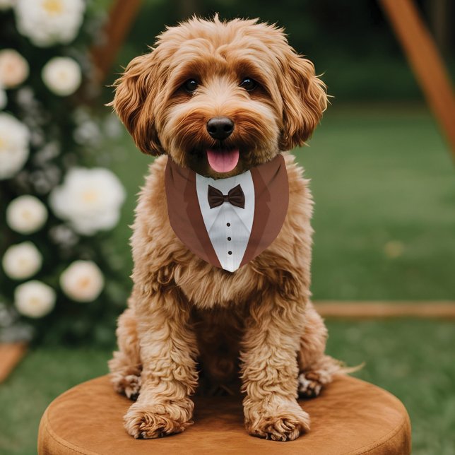 Cute Formal Russet Brown Tuxedo Bowtie Pet Wedding Bandana Collar (Cute Formal Russet Brown Tuxedo Bowtie Pet Wedding Pet Bandana Collar
)