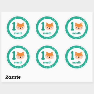 Cute Fox Baby Monthly Milestone  Classic Round Sticker