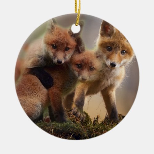 Cute Fox Family Ceramic Ornament